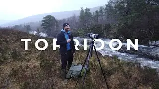 Photographing Lone Pines and Details in Torridon, Scotland