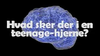 Hvad sker der egentlig i teenagehjernen? Animeret explainer-video