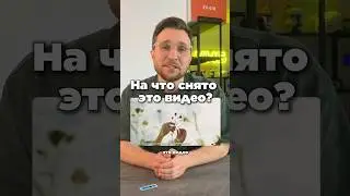 На что снято это видео?🤘Переходи в био профиля, там ссылка на участие в Фестивале Творцов