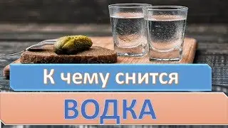 К чему снится ВОДКА | СОННИК