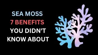 Sea Moss 7 Benefits You Didn't Know About