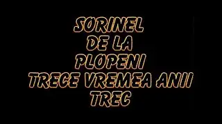 SORINEL DE LA PLOPENI    TRECE VREMEA ANI TREC