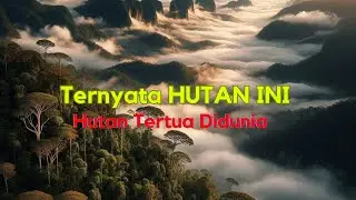 Ternyata, Hutan Borneo Hutan Tertua di Dunia#hutankalimantan #borneo