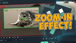 How to do Zoom Effect in Filmora! (2023)