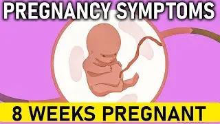 8 Weeks Pregnant | Pregnancy Symptoms