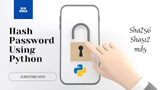 Hash A Password Using Python Programming || SHA-256, SHA-512, MD5 || Python Project For Beginners