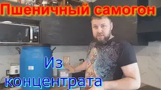 Пшеничный самогон из концетрата.