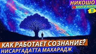 ЗАДУМАЙСЯ! После Этих Слов Твоя Жизнь Измениться! Речь Нисаргадатта Махараджа Которая Изменит Всё!