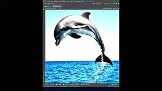 Draw Image to Console with Python Climage