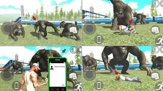 King Kong Cheat code 🤑New Update Secret Cheat Codes 2024 in Indian Bike Driving 3D AFTER NEW UPDATE