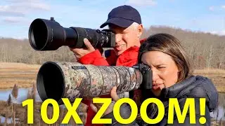 Sigma 60-600 vs Sony 200-600: BEST WILDLIFE ZOOM LENS!