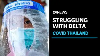 Why Thailands COVID volunteers fear the worst of the pandemic is yet to come | ABC News