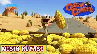 Oscar Çöllerde 🦎 | Mısır Rüyası | Minika