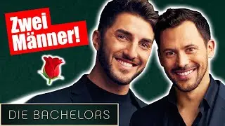 Die Bachelors: ZWEI P*MMEL, eine Meinung!