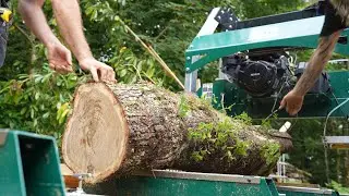 Can we rebuild the turret with oak from the forest?