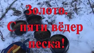 Золото с пяти вёдер песка!