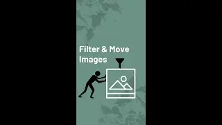 How to Filter & Move Images in Microsoft Excel