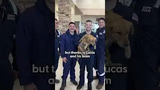 Coast Guards Rescue Dog Trapped In Shipping Container | The Dodo
