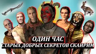 Skyrim – Один Час Старых Добрых Секретов Скайрим от Mr. Cat. ( 11 )