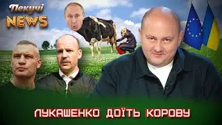 Лукашенко доїть корову. Кличко і російське ІПСО. Вступ України до ЄС. Пекучі News