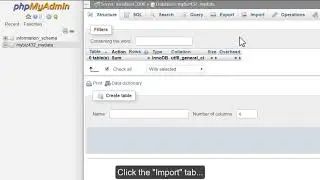 Importing databases and tables with phpMyAdmin