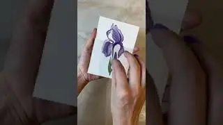 Временная тату 2SKIN «Прозрачный ирис» / Процесс нанесения