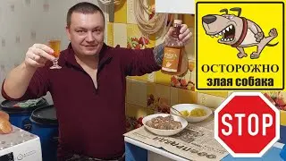 ОЧЕНЬ ОПАСНЫЕ БРОДЯЧИЕ СОБАКИ. БУРБОН под ХОЛОДЕЦ. Что делать с бродячими собаками? Сказки-Бабаски