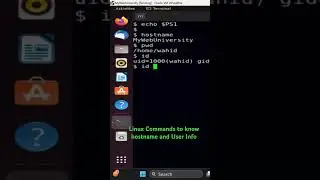 Linux Commands to know hostname and User Info #shorts