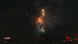 Sekiro: Shadows Die Twice - Jinzaemon Kumano and Doujun