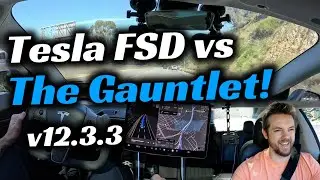 I Threw Tesla's Latest v12.3.3 FSD Supervised at The Gauntlet!