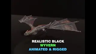 Realistic Black Wyvern Animated 3d Model