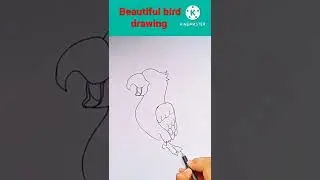 Beautiful bird drawing/ how to draw a bird/ easy drawings for kids/ easy bird drawing