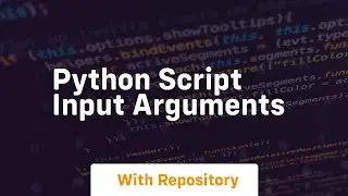 python script input arguments