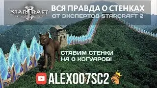 Все о стенках в StarCraft 2: Ставим стенки на 0 Когуаров!
