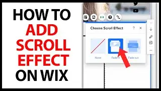 How to Add a Scroll Effect on Wix in 2024