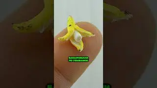 Самый МАЛЕНЬКИЙ у мужчин! В какой стране мира?