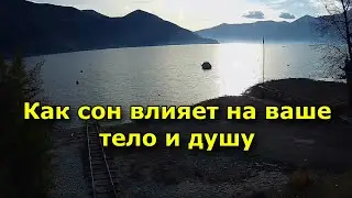 Как сон влияет на ваше тело и душу. Спокойные ночи, процветающая жизнь.