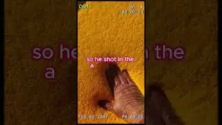 😂Lost in the Woods: Hilarious Hunting Lesson Gone Wrong😂 #shorts#comedy #youtubeshorts #slime #funny