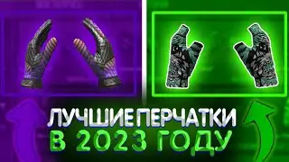 ТОП 5 ЛУЧШИХ ПЕРЧАТОК В 2023 ГОДУ В СТЕНДОФ2