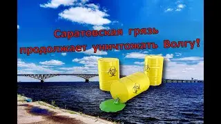 Саратовская грязь продолжает уничтожать Волгу!