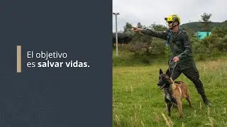 El objetivo: salvar vidas. 🐕👮 🇨🇴🤝🇺🇸