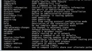 292 Show IP OSPF Interface Details and the OSPF RID