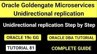 Oracle Goldengate Microservices Unidirectional replication Step by Step