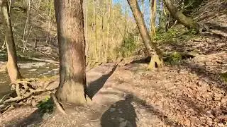 Onewheel Ride out of Grimes Glen Park trail - Naples, NY