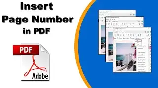 How to Insert Page Numbers in a PDF Document with Adobe Acrobat Pro 2020