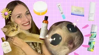 ПУСТЫЕ БАНОЧКИ | ЛУЧШИЙ УХОД ЗА ЛИЦОМ И ТЕЛОМ 🔥 | Shiseido, Le Labo, Ligne St. Barth, Comfort Zone