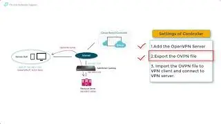 Omada SDN Video How to configure Client to Site OpenVPN