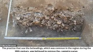 Grave containing 450 'VAMPIRES' is discovered during roadworks in Poland