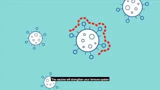 COVID-19 vaccines – How vaccines work