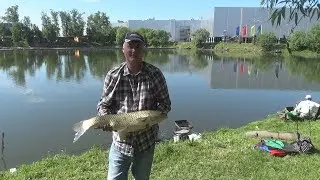 Вываживание белого амура,5150гр,Волжанкой Профи 40+.Big-fish кубка 